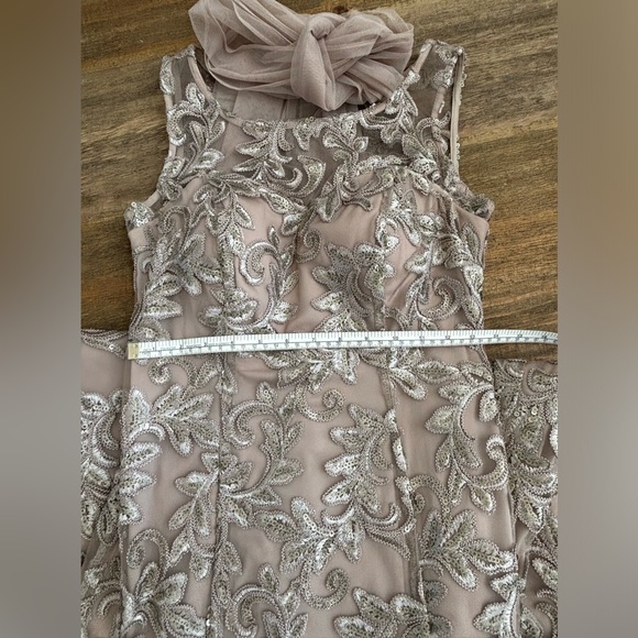 Alex Evenings Champagne Embroidered Tulle Gown - Picture 4 of 10